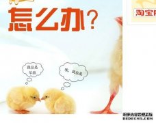 天津静海精索静脉曲张会导致早泄的发生